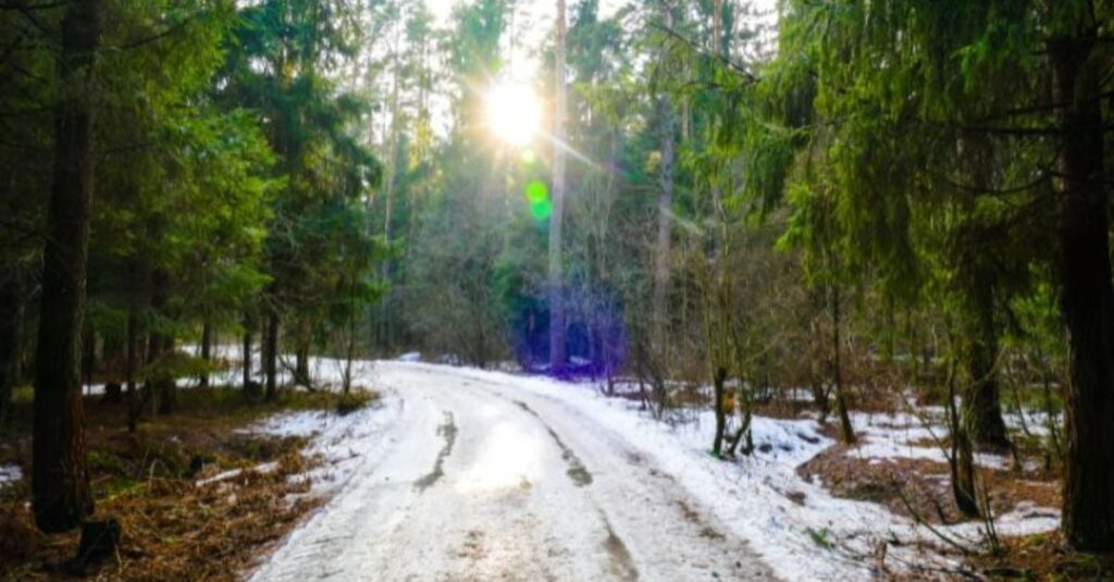 60+ Creative March Marketing Ideas (With Examples!)