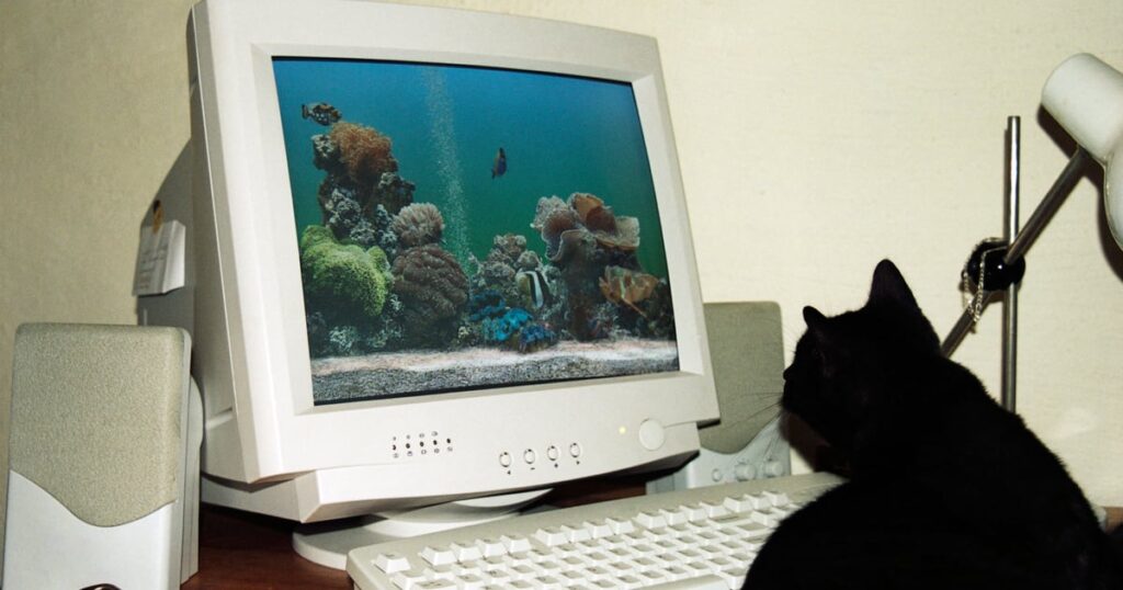 Attackers Use Windows Screensavers to Drop Malware, RMM Tools