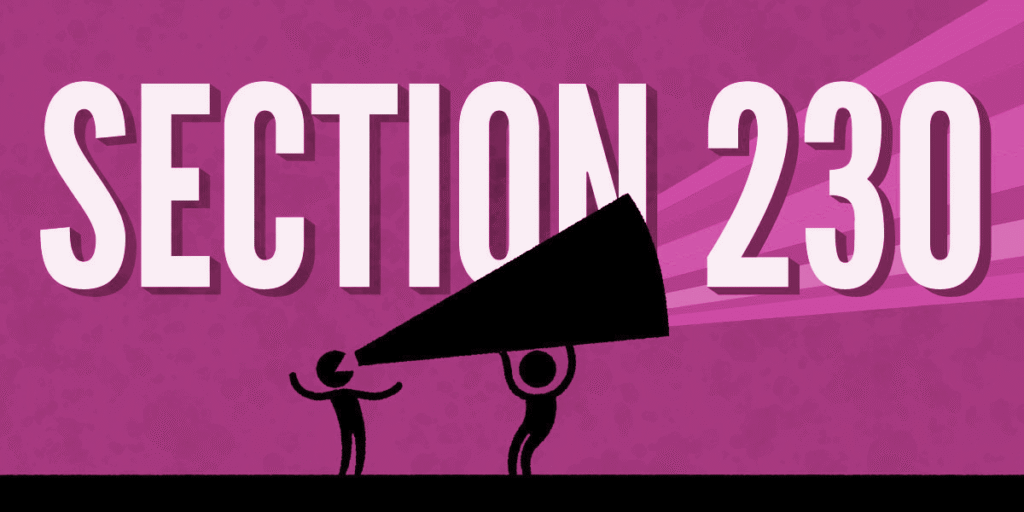 On Its 30th Birthday, Section 230 Remains The Lynchpin For Users’ Speech One person holds a megaphone for another, with rainbow stripes
