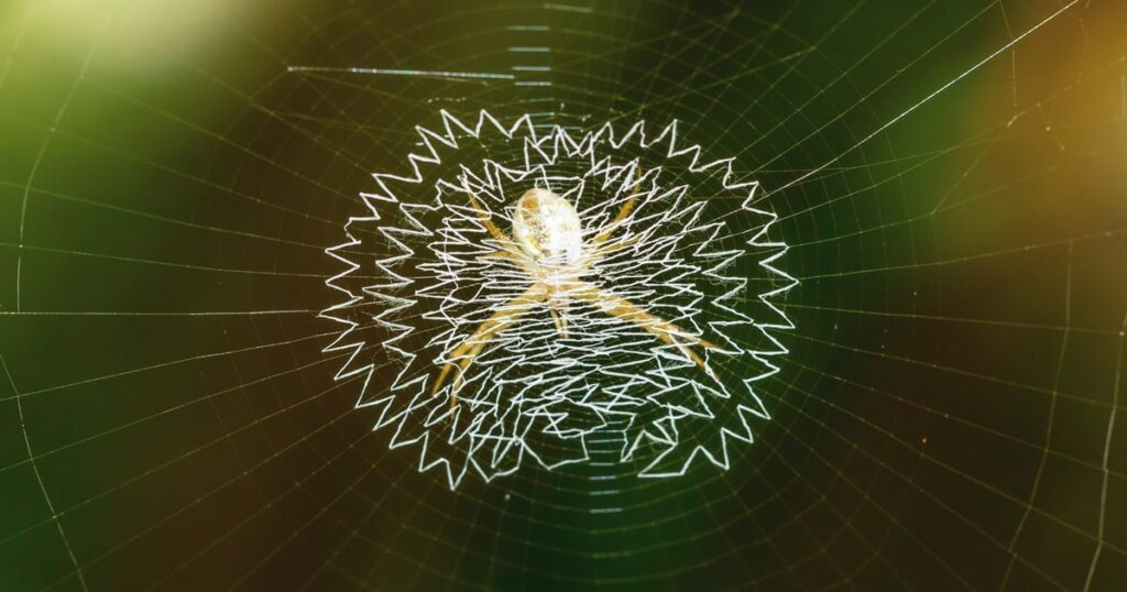 Post-Quantum Web Could be Safer, Faster