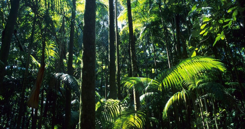 Tropic Trooper APT Takes Aim at Home Routers, Japanese Targets