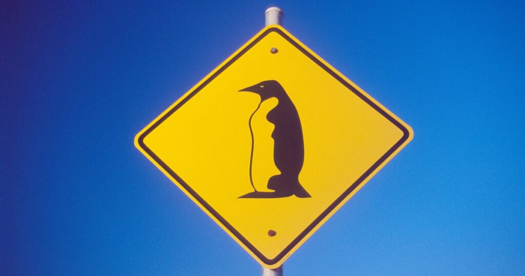 Another AI-Assisted Software Scan Yields 9-Year-Old Linux Bug